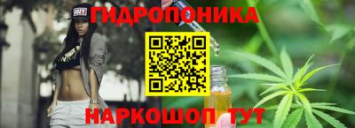 jwh Свободный