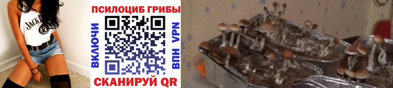 Псилоцибиновые грибы мухоморы  Ржев 