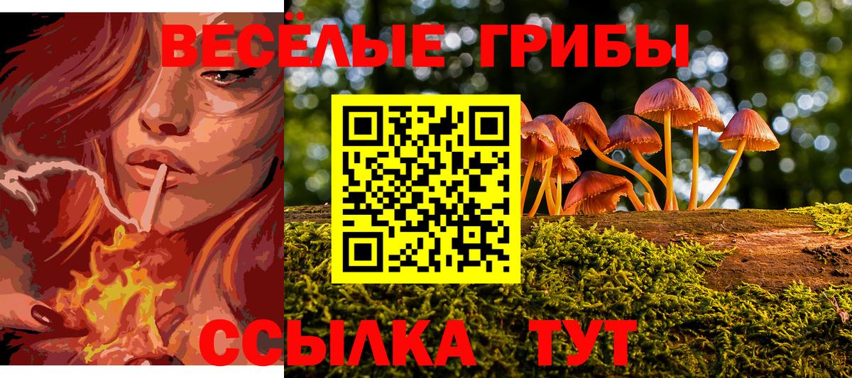 Галлюциногенные грибы MAGIC MUSHROOMS Ржев