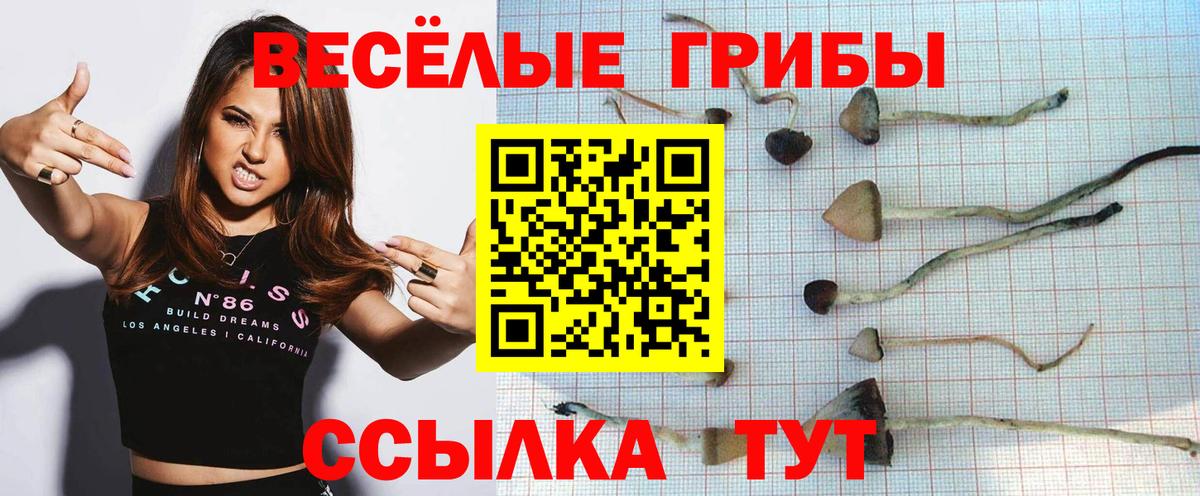 Ржев  Галлюциногенные грибы Magic Shrooms  Вход с VPN 